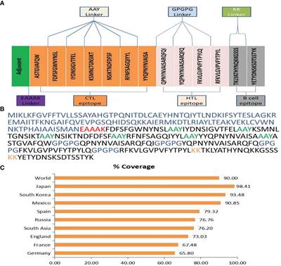 Designing of a multi-epitopes based vaccine against Haemophilius parainfluenzae and its validation through integrated computational approaches